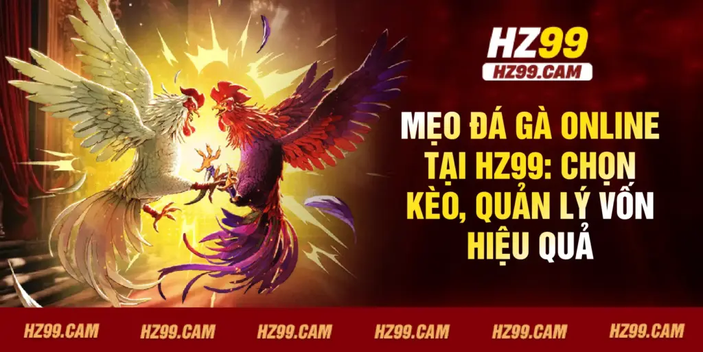 Mẹo đá gà online tại HZ99: chọn kèo, quản lý vốn hiệu quả