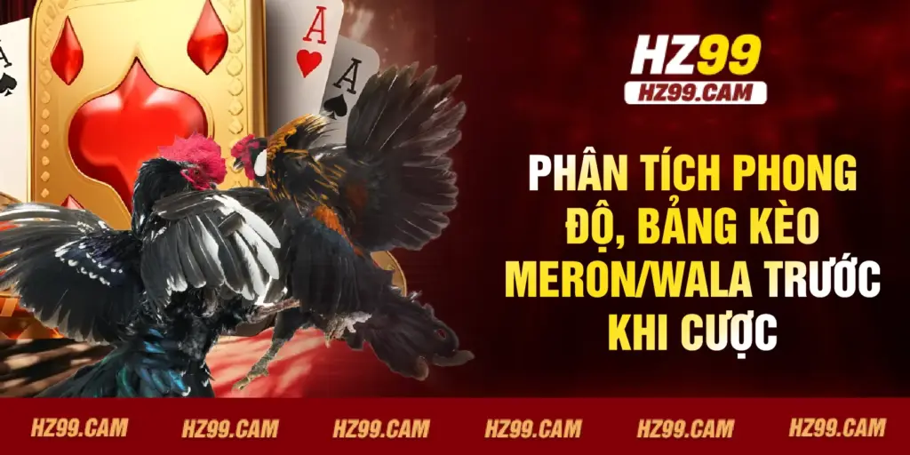 Phân tích phong độ, bảng kèo Meron/Wala trước khi cược